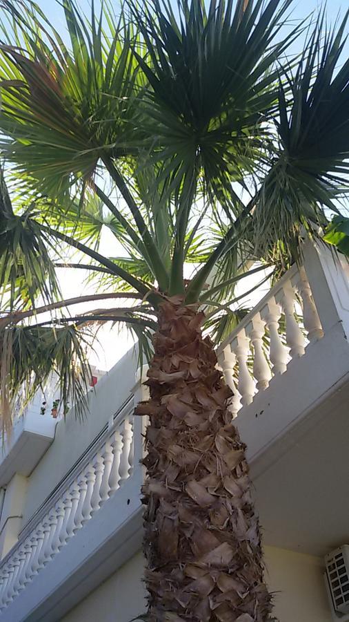 Ionion Star Hotel Tholon Zewnętrze zdjęcie